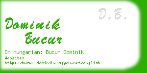 dominik bucur business card